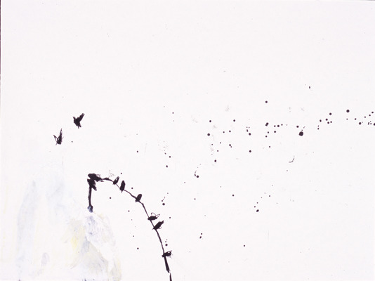 Juan-Carlos Perez Conversaciones-Bird Series ink on paper