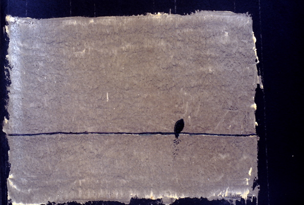 Juan-Carlos Perez Conversaciones-Bird Series tar on paper