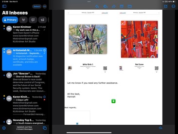 KAREN L KIRSHNER GALLERY VIEWS 