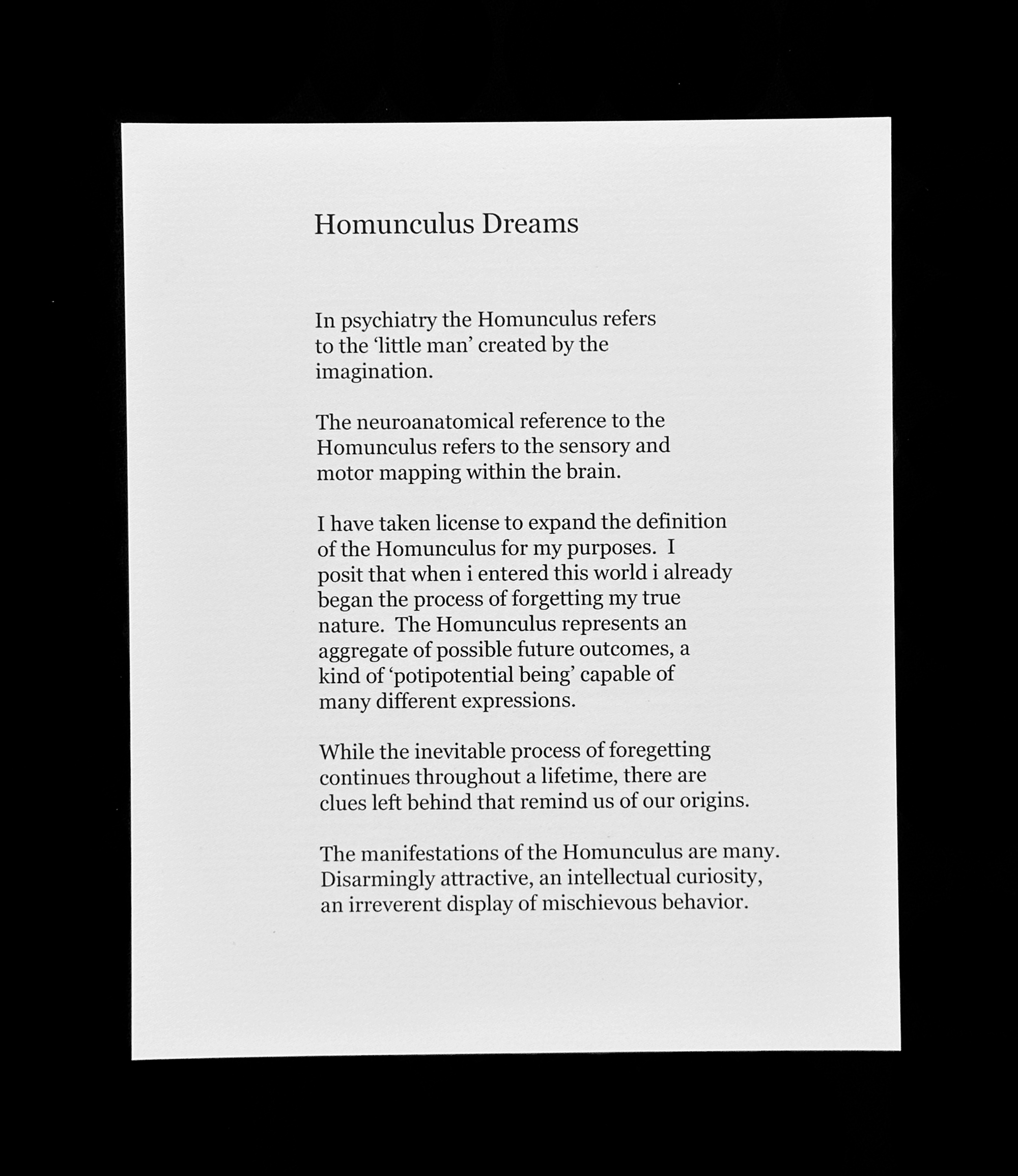 Kenneth Wilkes Studio ZETETIC Homunculus Introduction 