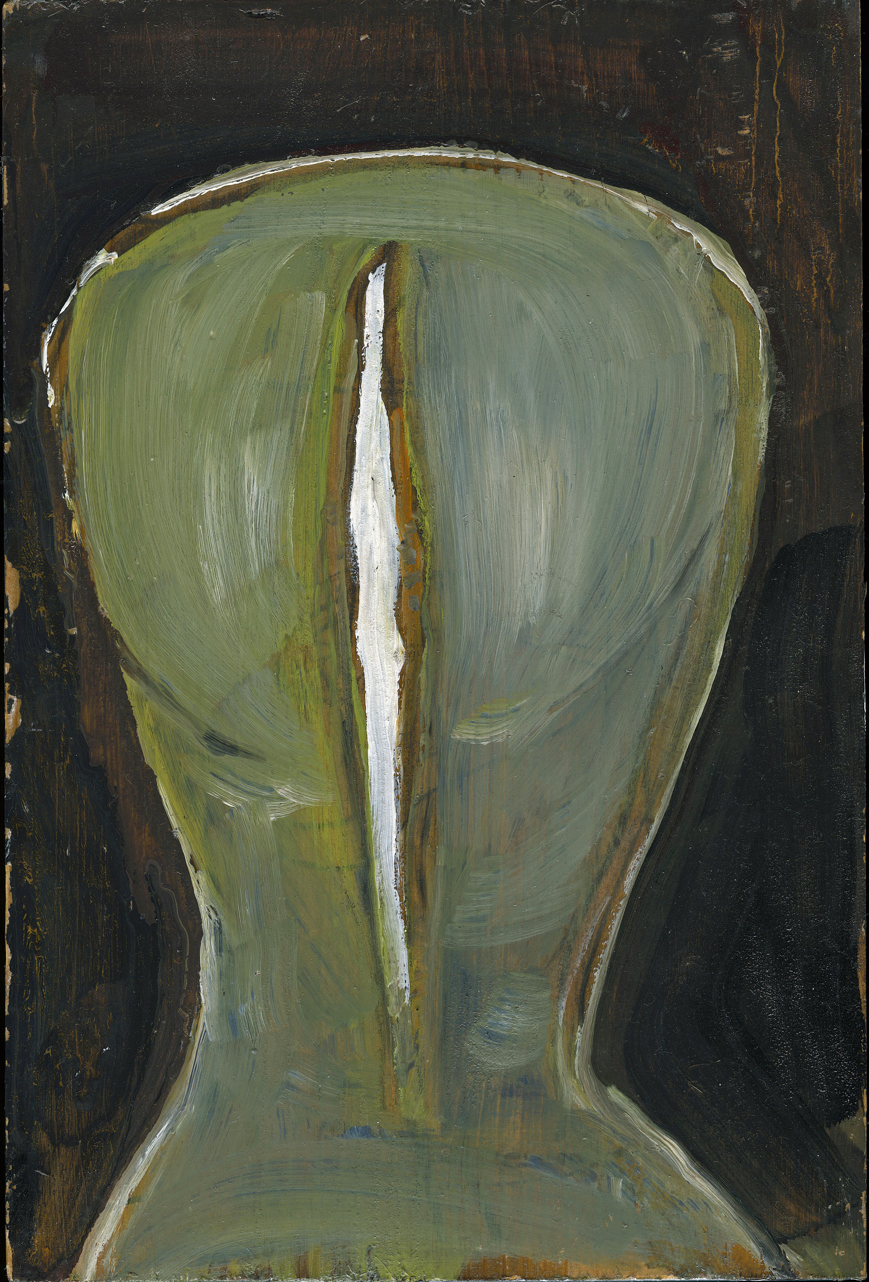  Homunculus Introduction 