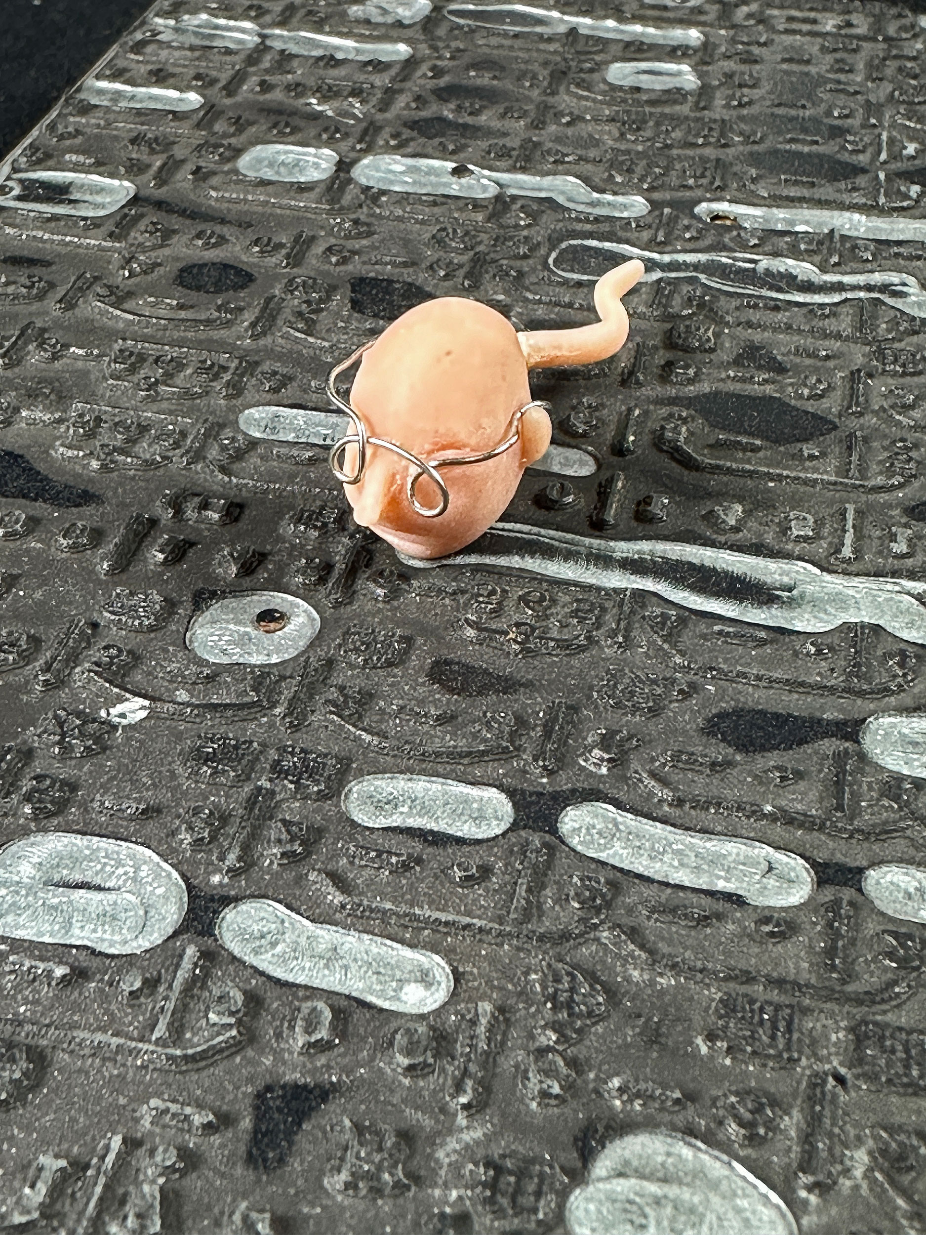  Homunculus Introduction 