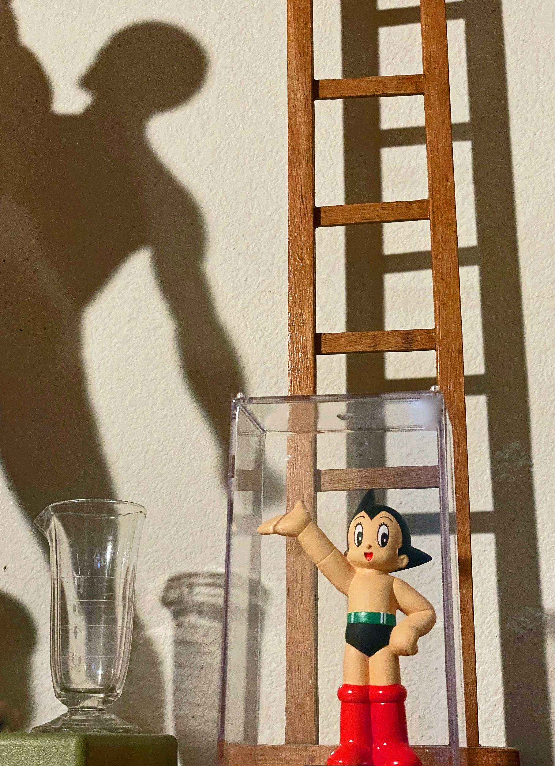  Homunculus Introduction 