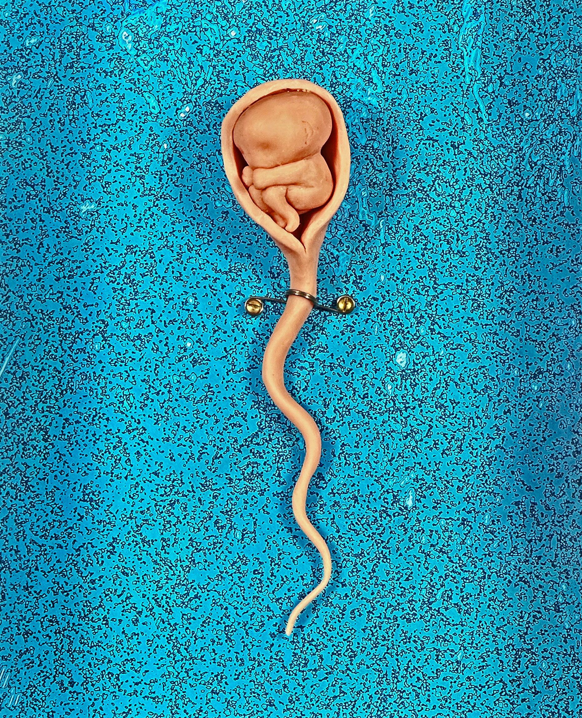  Homunculus Introduction 