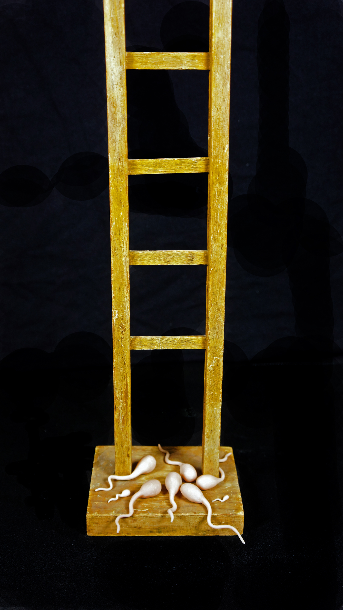  Homunculus Introduction 