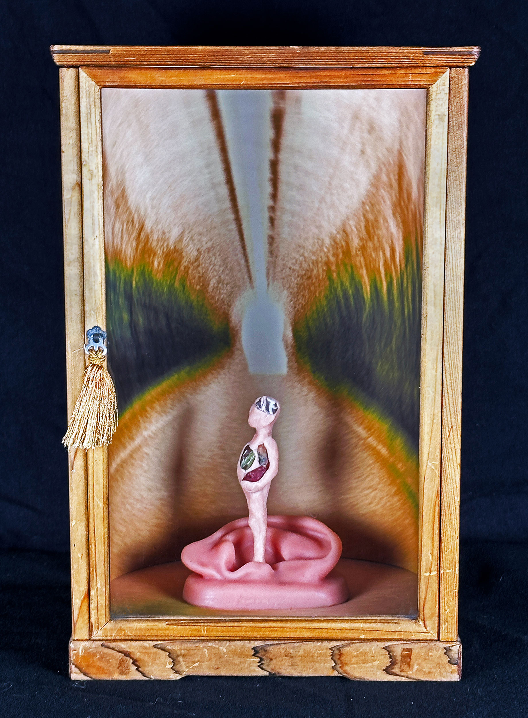  Homunculus Introduction 