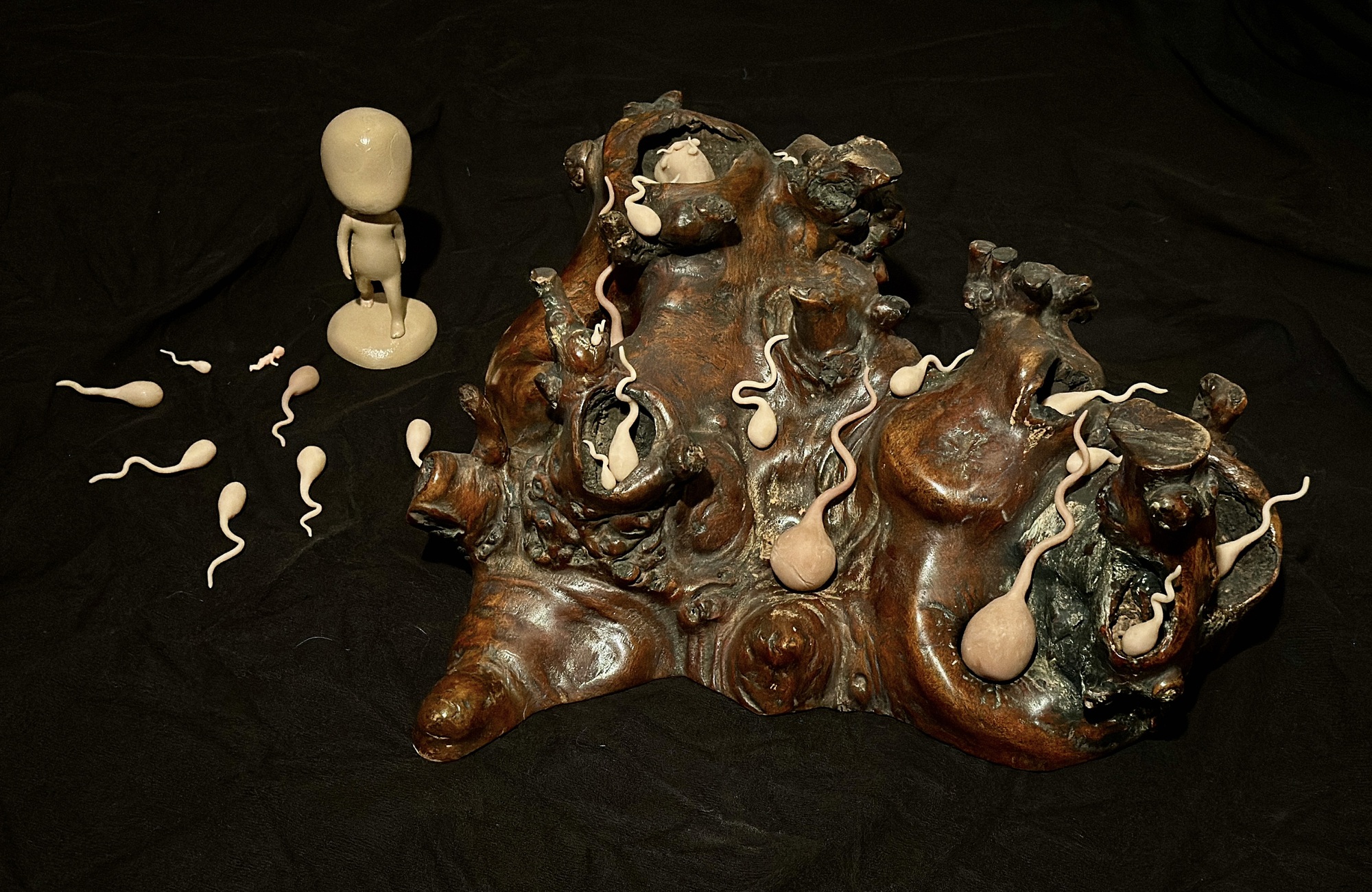  Homunculus Introduction 