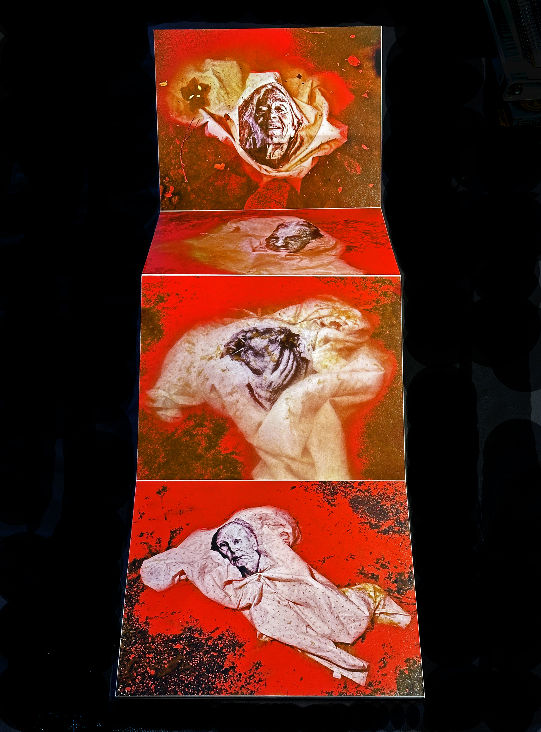  Homunculus Book Five 