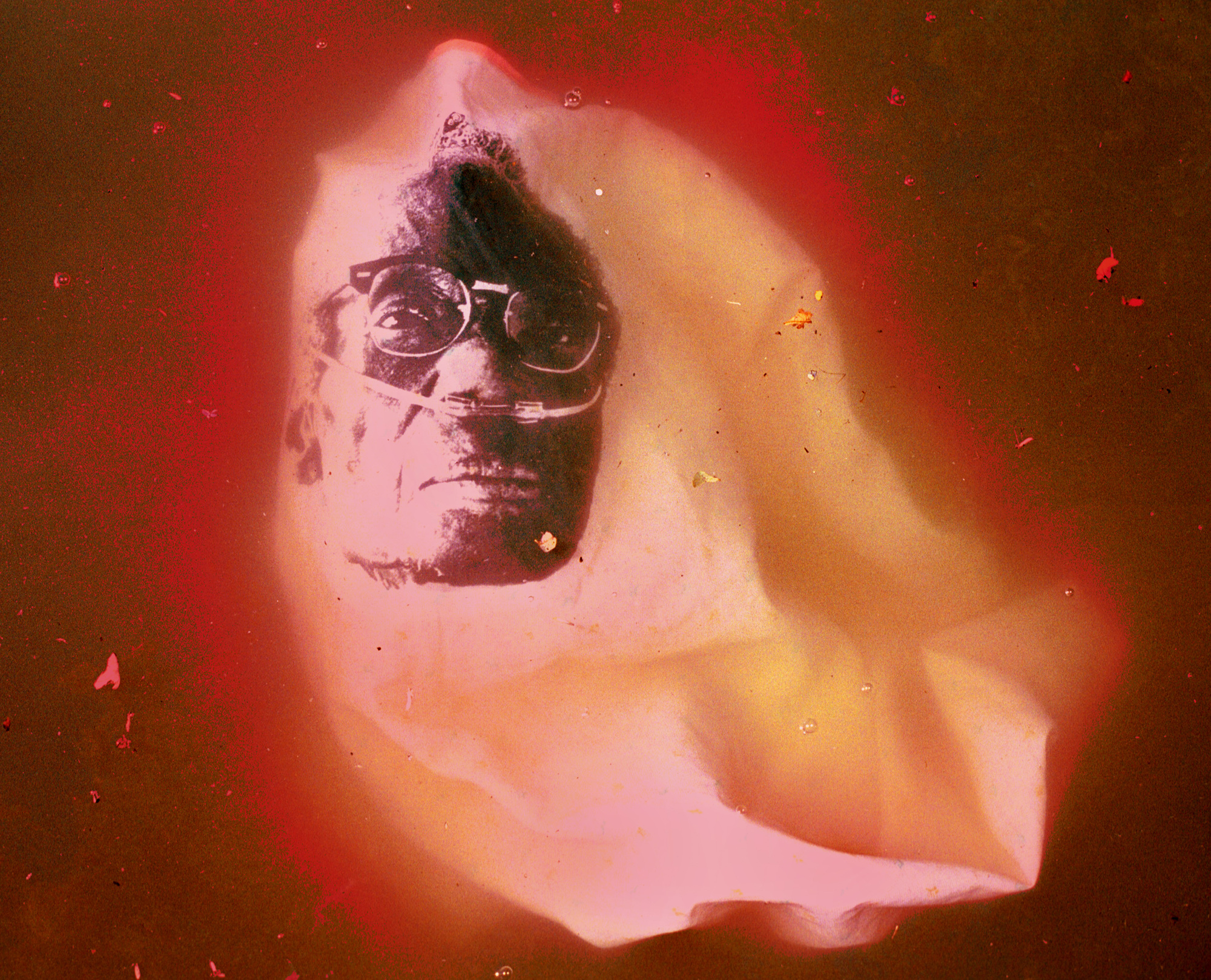  Homunculus Book Five 
