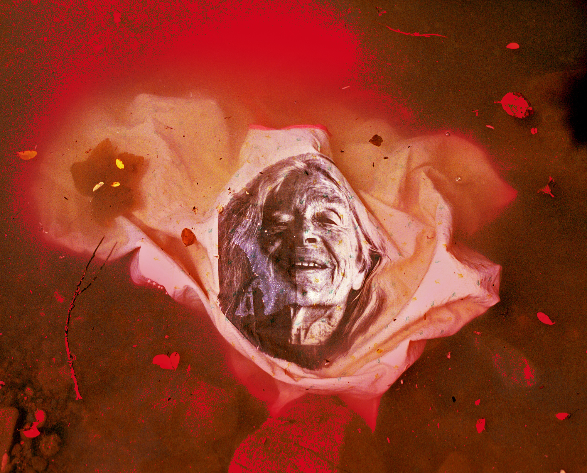  Homunculus Book Five 