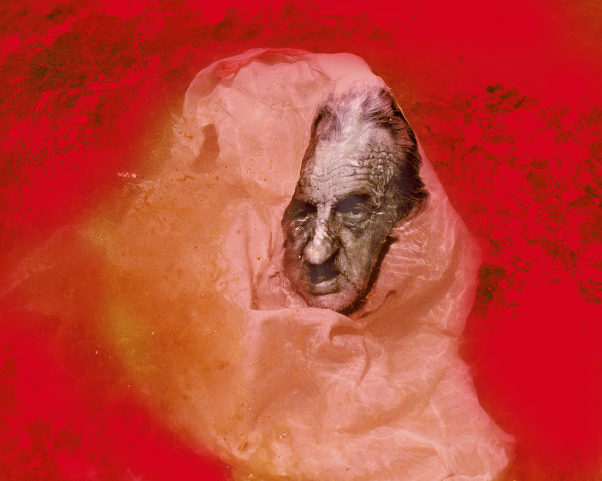  Homunculus Book Five 