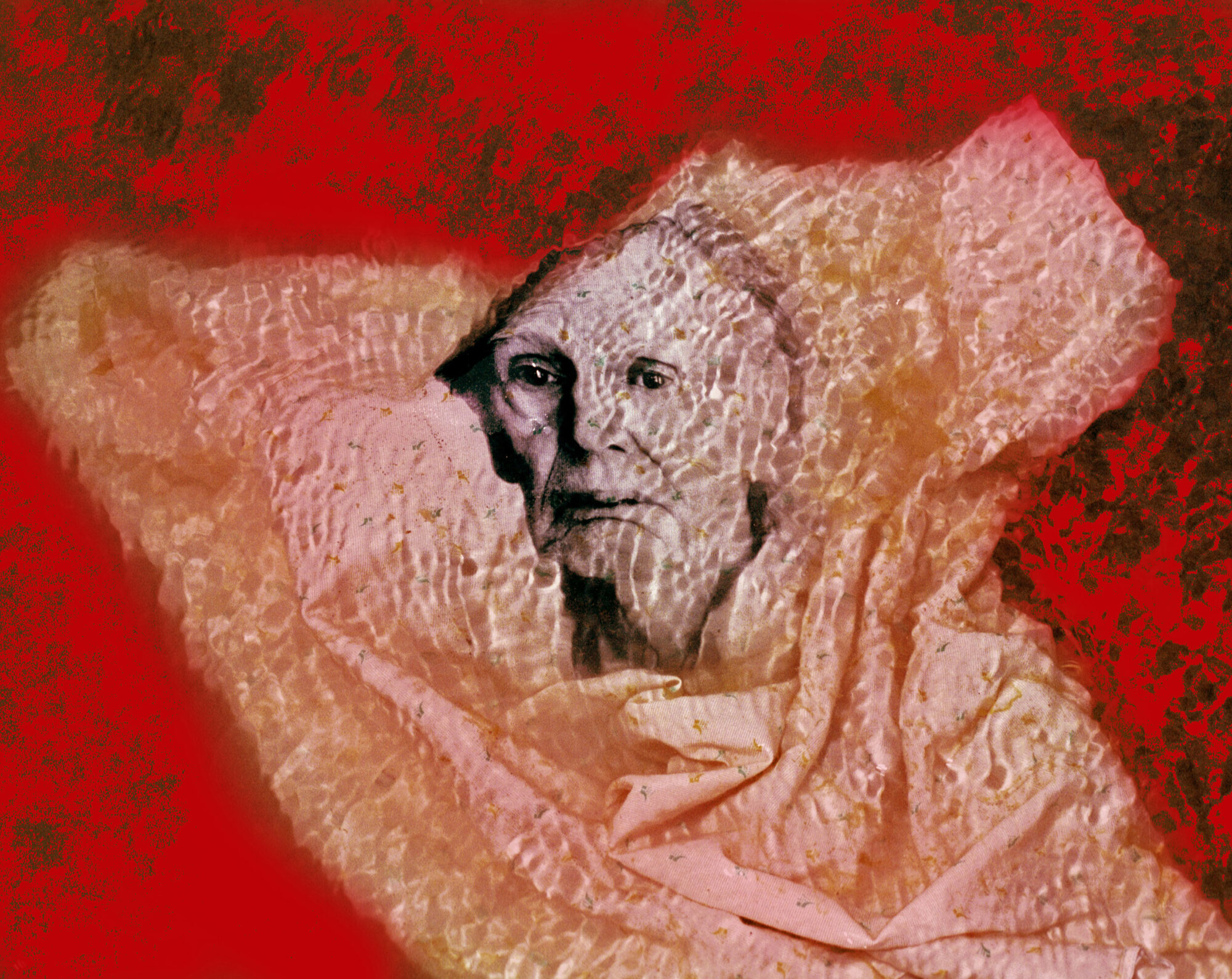  Homunculus Book Five 
