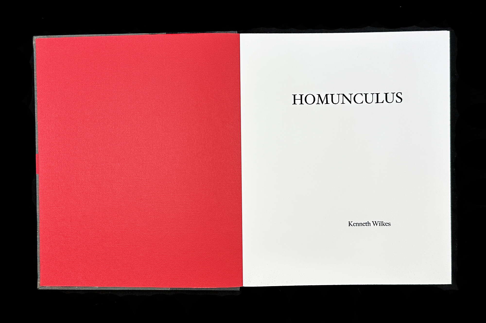  Homunculus Introduction 