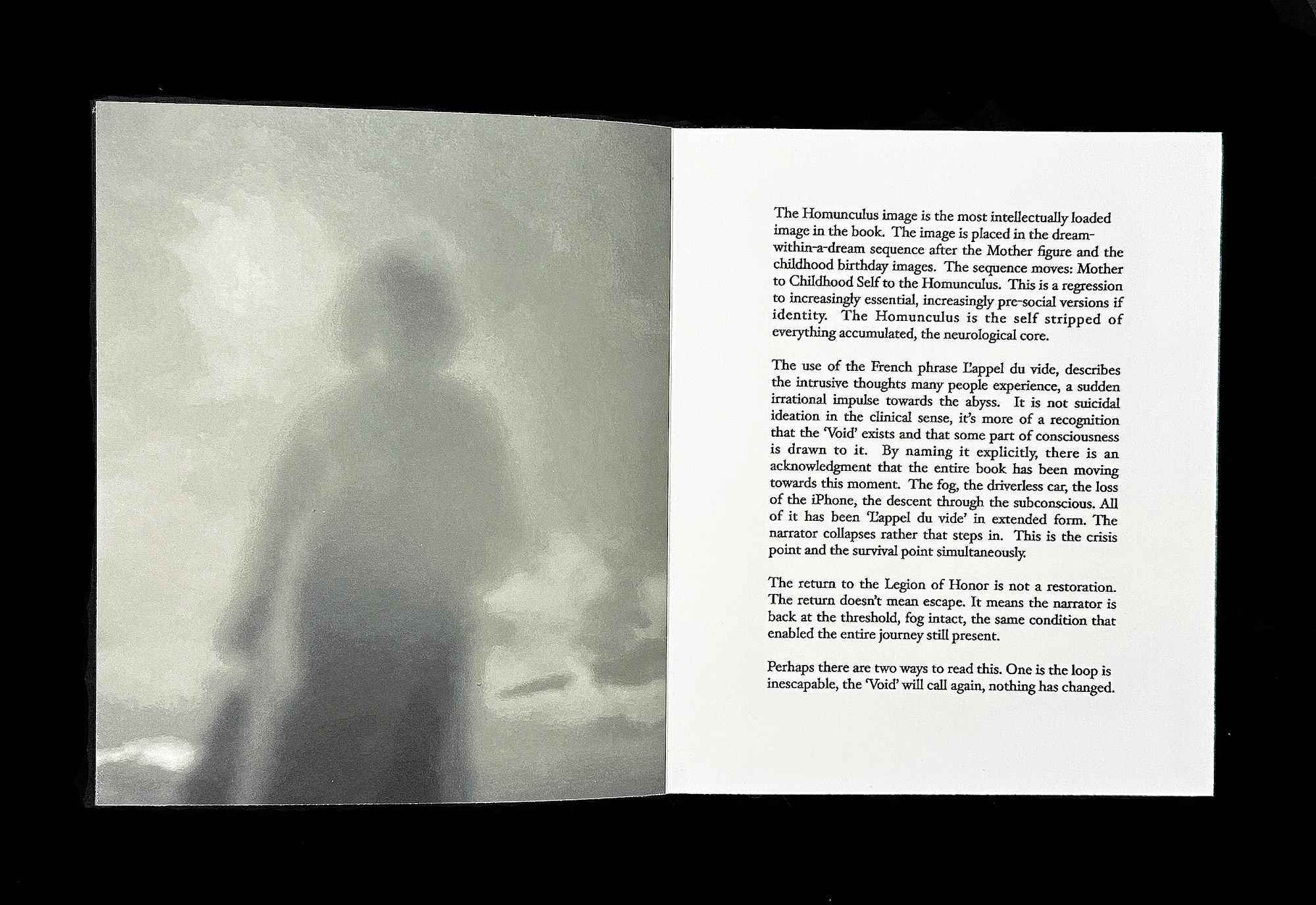  Homunculus Introduction 