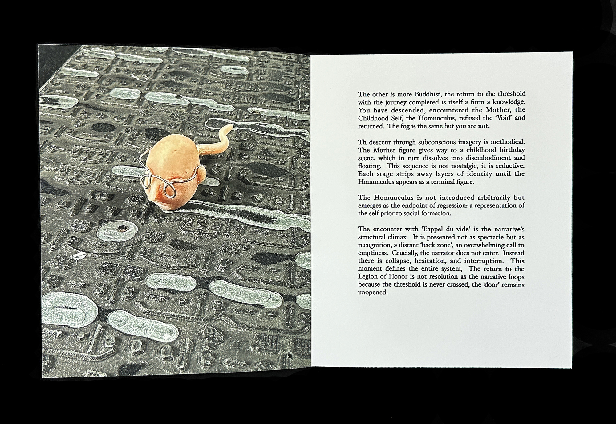  Homunculus Introduction 