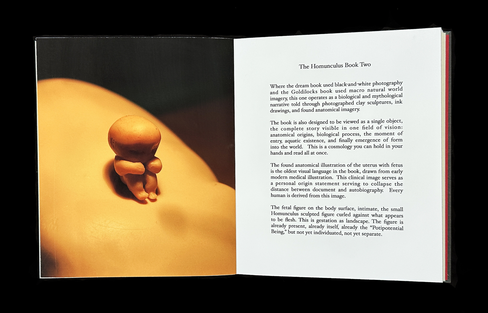  Homunculus Introduction 