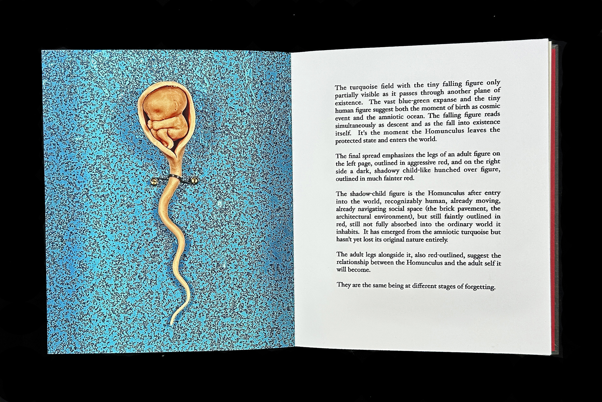  Homunculus Introduction 
