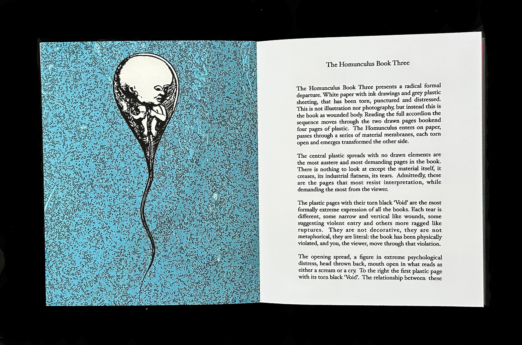  Homunculus Introduction 