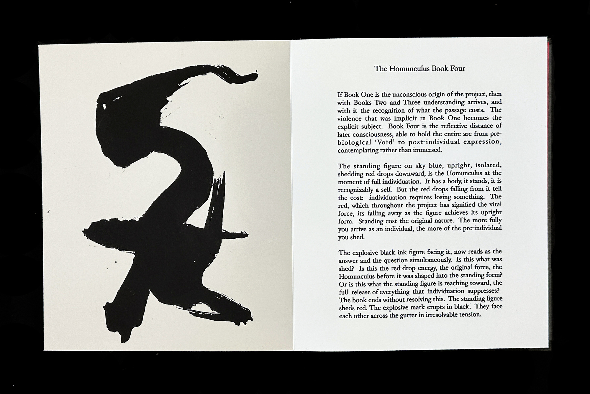  Homunculus Introduction 