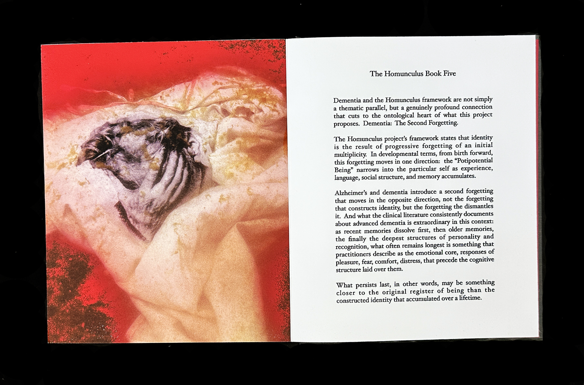  Homunculus Introduction 