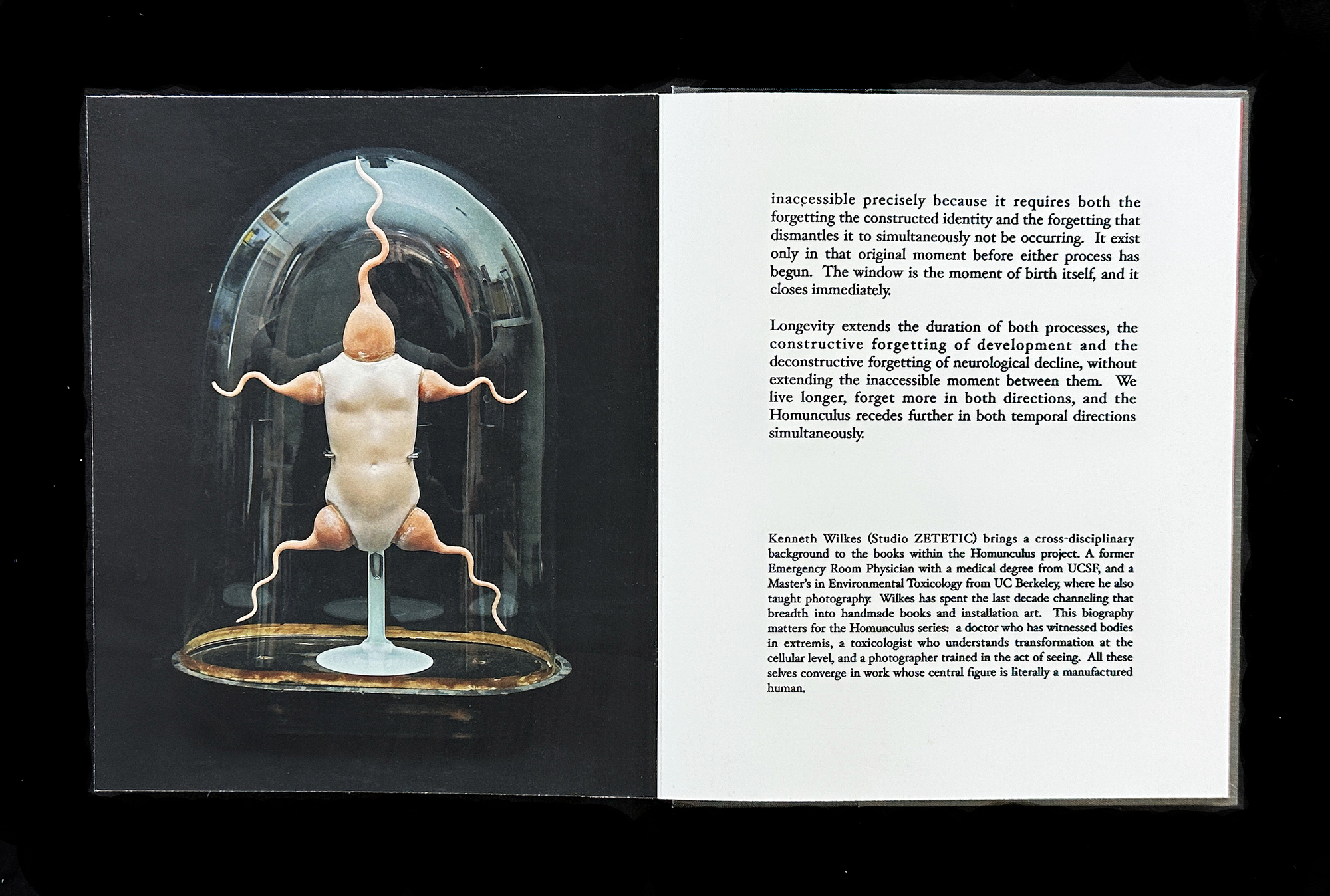  Homunculus Introduction 