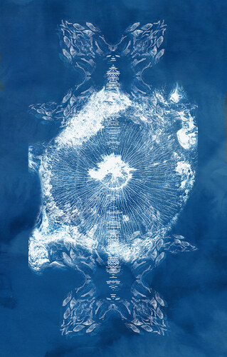  Cyanotype 