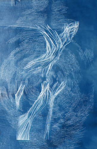  Cyanotype 