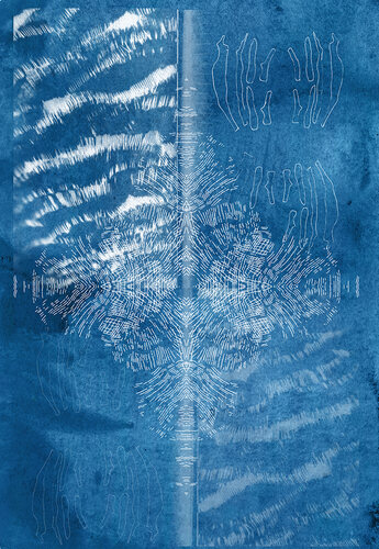  Cyanotype 