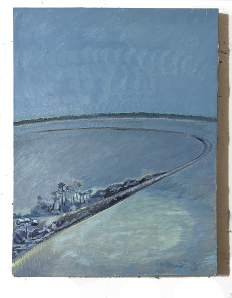 Laura Greengold Feels- Current work Oil and True Gesson on Panel