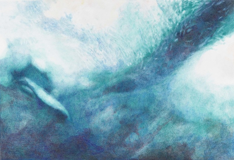 LAURA HEXNER Water colored pencil on paper