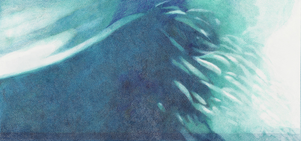 LAURA HEXNER Water colored pencil on paper