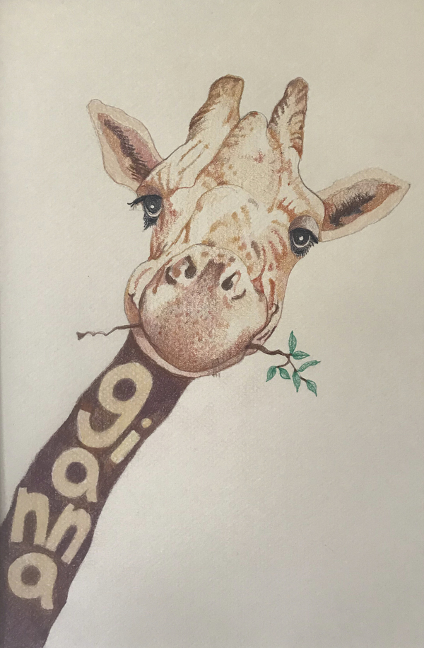 LAURA HEXNER Custom Nursery Animal Art colored pencil on paper