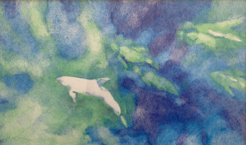LAURA HEXNER Water colored pencil on paper