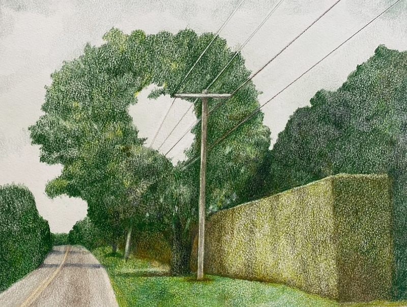 LAURA HEXNER Vignettes colored pencil on paper