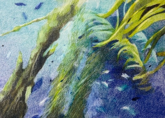 LAURA HEXNER Water colored pencil on paper