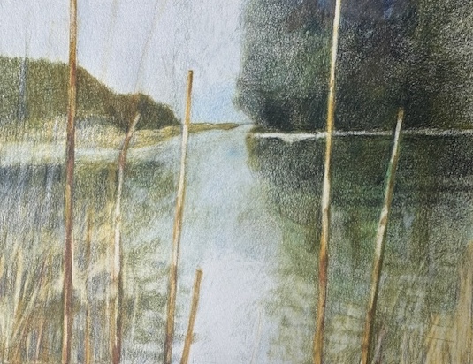 LAURA HEXNER Water Colored Pencil