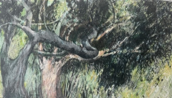 LAURA HEXNER Vignettes Colored Pencil