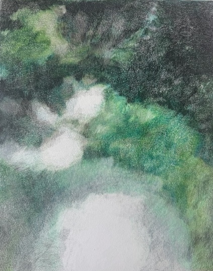 LAURA HEXNER Vignettes Colored Pencil