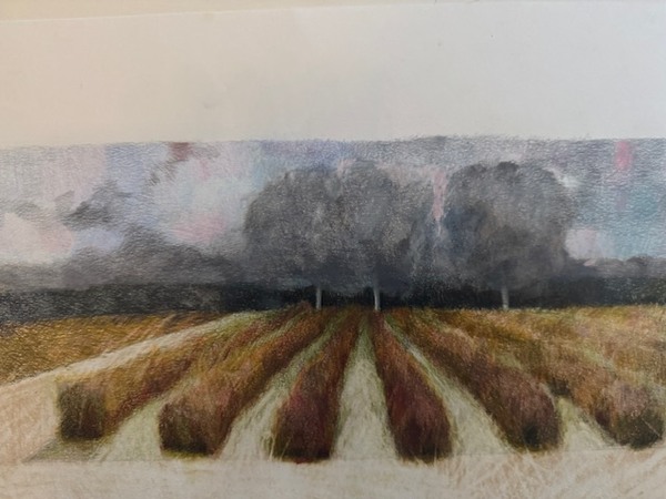 LAURA HEXNER Vignettes colored pencil on paper