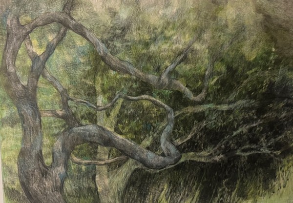 LAURA HEXNER Armature Colored Pencil