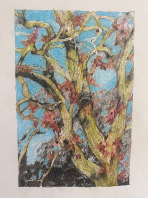 LAURA HEXNER Armature 