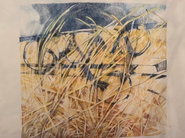 LAURA HEXNER Earth colored pencil