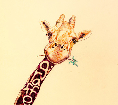 LAURA HEXNER Hidden Alphabet Animals colored pencil on paper