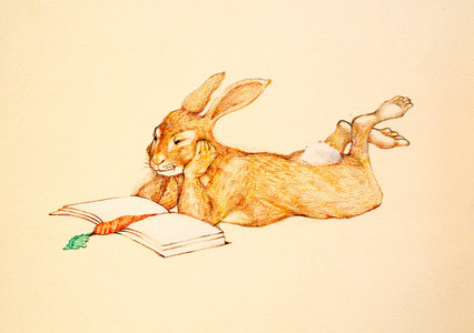 LAURA HEXNER Hidden Alphabet Animals colored pencil on paper