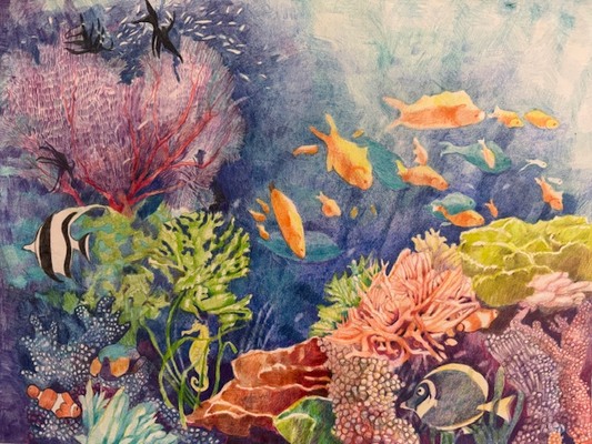 LAURA HEXNER Endangered Animals Colored pencil