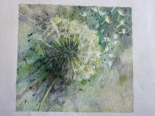 LAURA HEXNER Summer Colored pencil