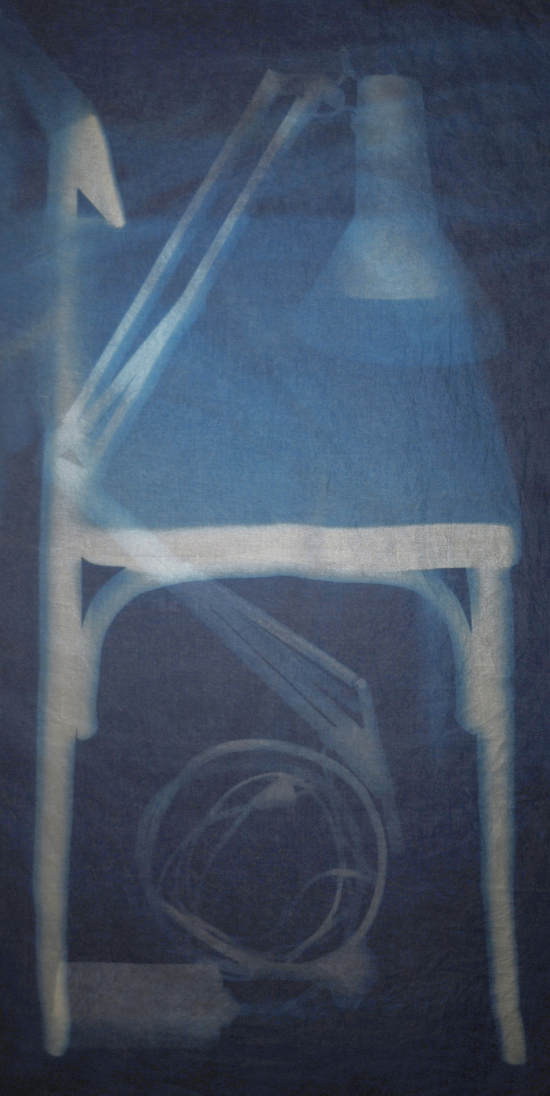Leslie Hirst Objectively Speaking cyanotype on silk