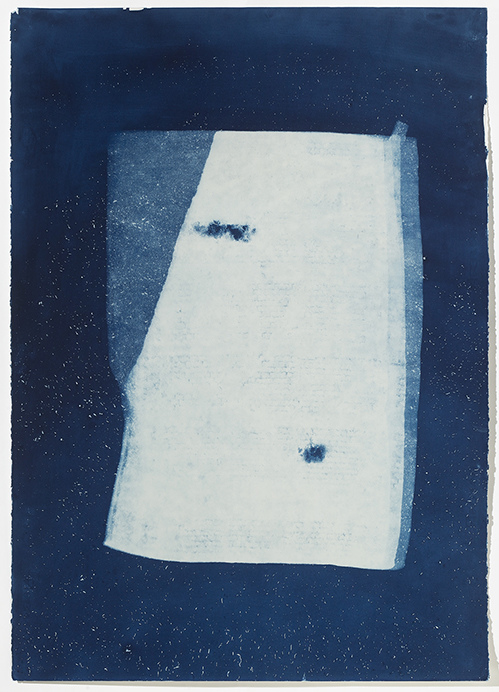 Leslie Hirst of rock and air cyanotype print on Fabriano