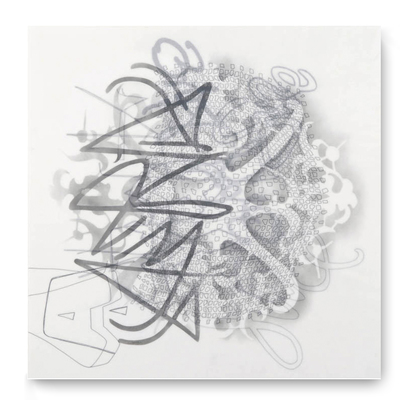 Leslie Hirst Graffiti Lace powdered graphite and ink on vellum 