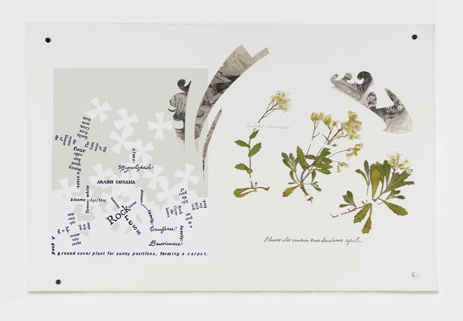 Leslie Hirst From Here woodblock print, letterpress, inkjet, collage and pressed plants